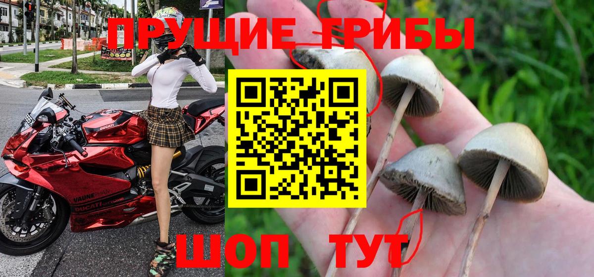 Галлюциногенные грибы ЛСД  Вход с VPN  Галлюциногенные грибы MAGIC MUSHROOMS  Гусев 