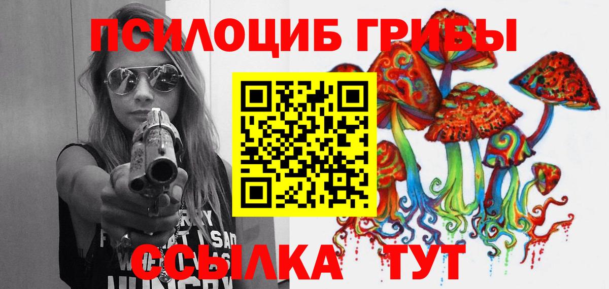 Галлюциногенные грибы MAGIC MUSHROOMS Гусев